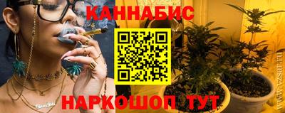спиды Новозыбков