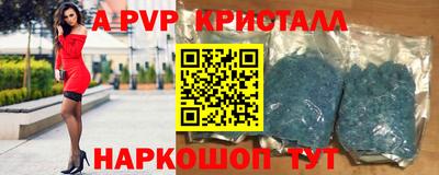 спиды Новозыбков
